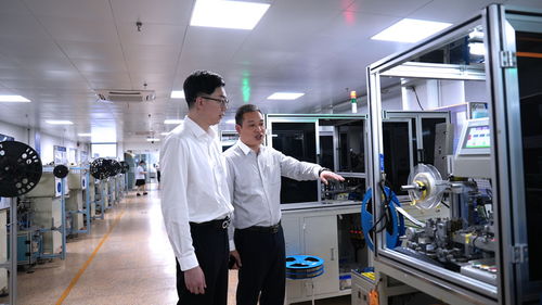 三度服務賦能溫州科技企業(yè) 信息技術咨詢的精準助力